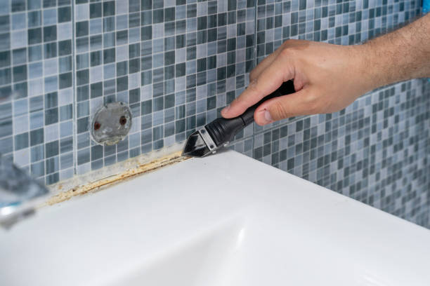 Mold Removal and Inspection in Imperial Beach, CA