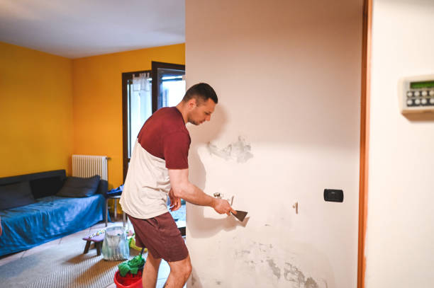 Best Mold Damage Repair  in Imperial Beach, CA